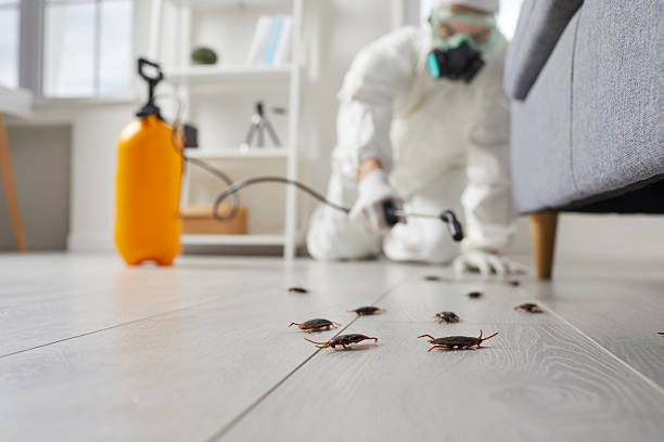 Post-Treatment Bed Bug Interceptor Monitoring in Cresskill